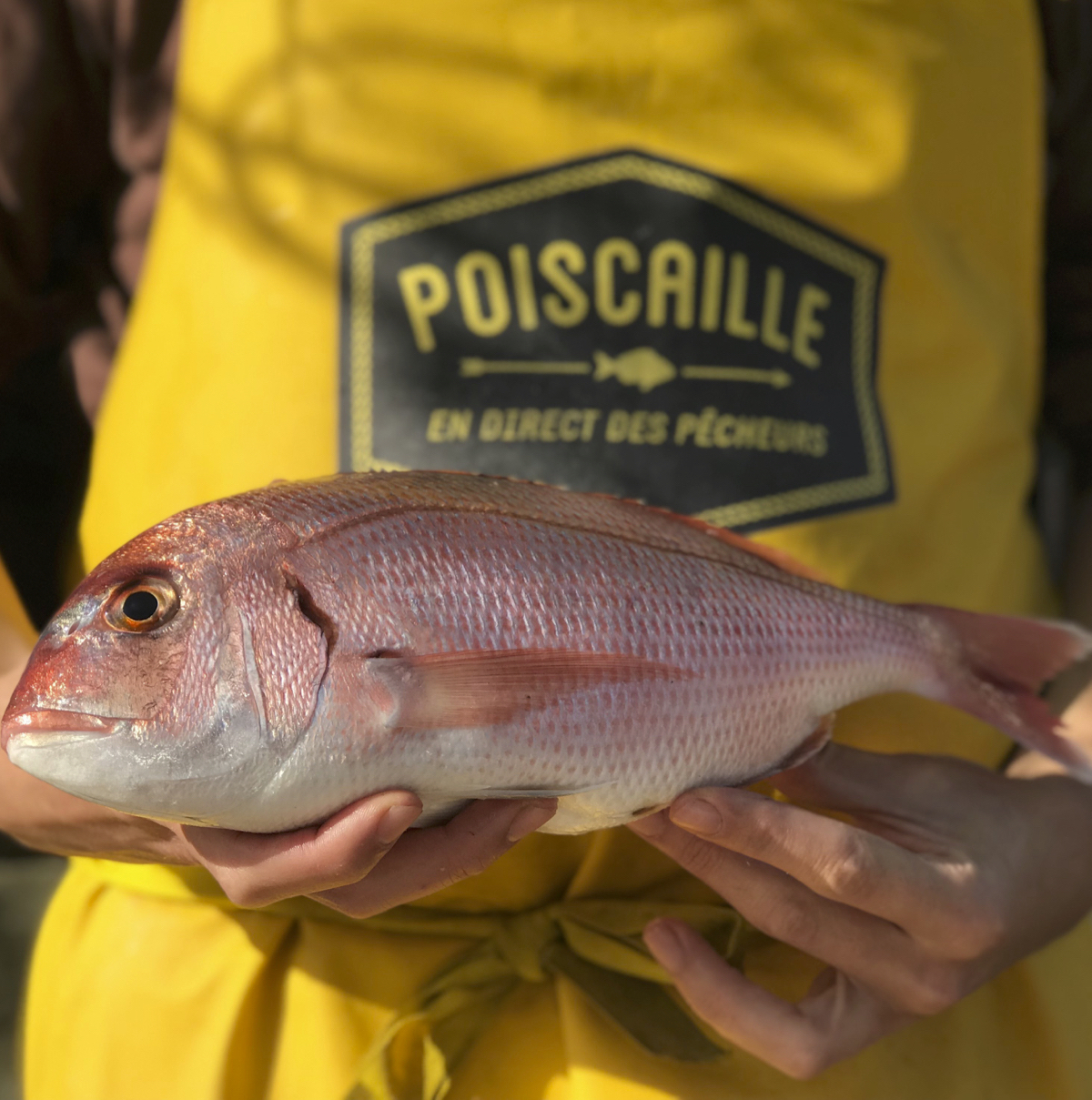 Nouveau : vos casiers de poissons frais Poiscaille au Grenier