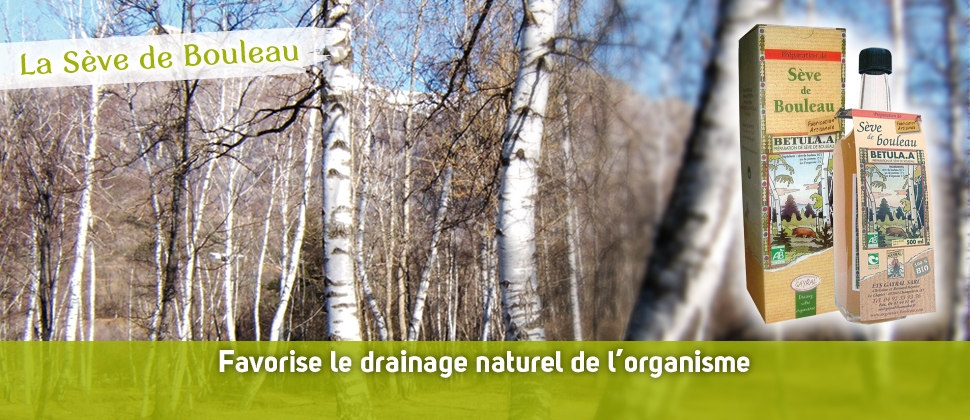 La sève de Bouleau Fraiche non pasteurisée du Champsaur La sève de Bouleau Fraiche non pasteurisée du Champsaur