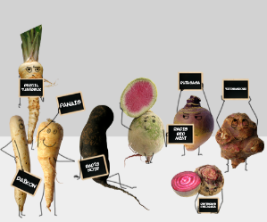 halte à la routine : vive les légumes insolites ! halte à la routine : vive les légumes insolites !