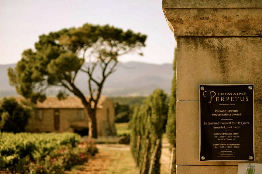 Domaine les Perpetus - vin Domaine les Perpetus - vin