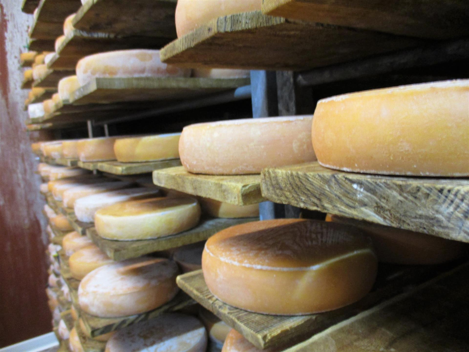 Fromagerie Chateau Queyras