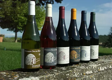 Domaine Gris des Bauries - vin Domaine Gris des Bauries - vin