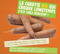 Le légume de Novembre : la carotte sable et terre Le légume de Novembre : la carotte sable et terre