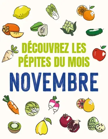 Calendrier de saisonnalité : Découvrez les pépites du mois de novembre 2025 !