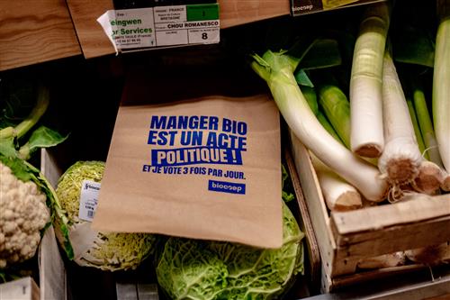 Photos du magasin