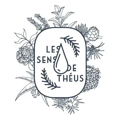 Les sens de Théus