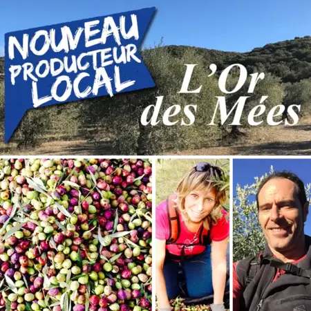 l'Or des Mées - huile d'olive en vrac