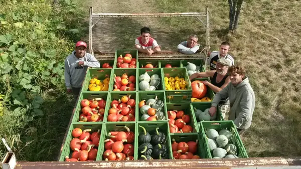 ESAT de ROSANS - légumes 