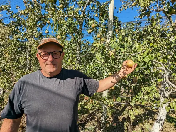 Tip top fruits - fruits du verger