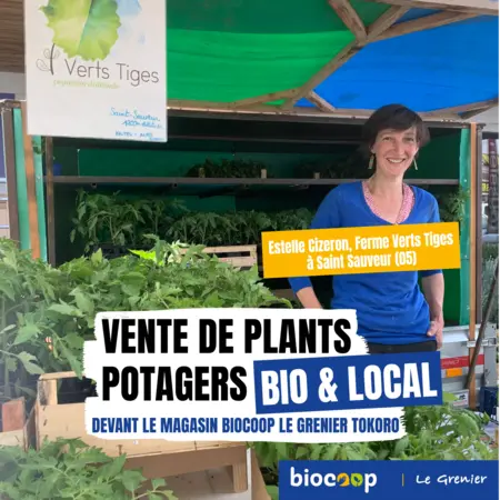 Stand de plants potagers bio & locaux devant le magasin zone Tokoro