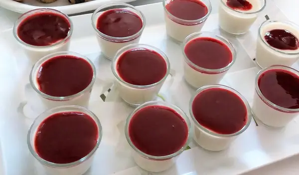 Panna cotta sans produits laitiers