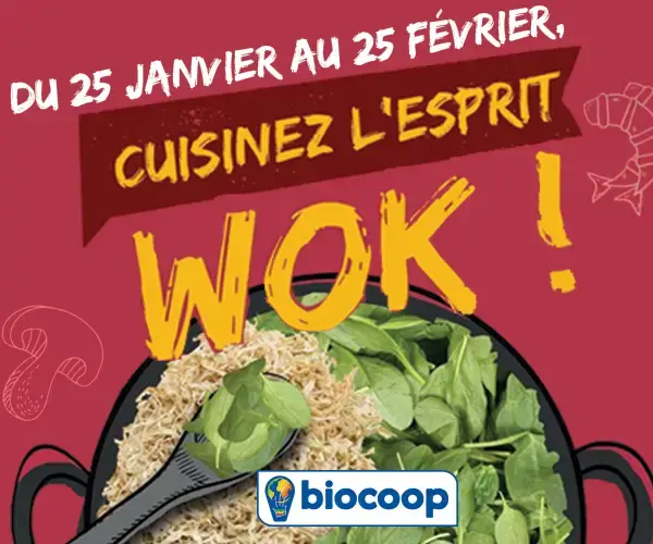 Wok de légumes aux nouilles sautées